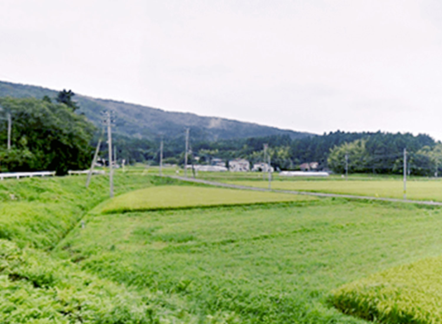 自然に囲まれた安らげる環境